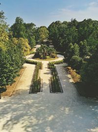 Plants in park against sky