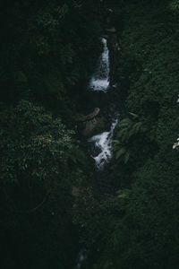 High angle view of waterfall in forest