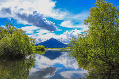 Scenic view of lake by trees against sky