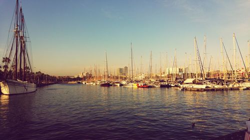 Sailboats in marina