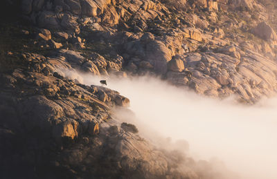 Scenic view of pedriza with mist diffusing between guadarrama mountain range and boulders with coniferous trees at sunrise in spain