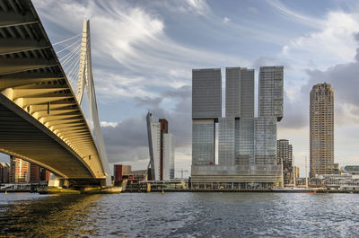 Rotterdam bridge, river and highrise