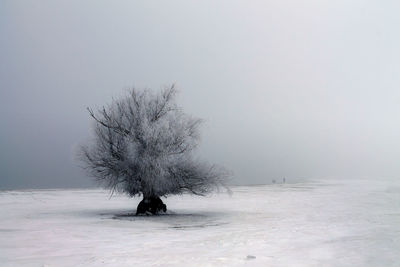 Tree on snow covered landscape against clear sky