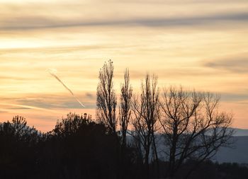 Close-up of silhouette plants against sunset sky