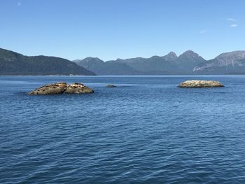 Scenic view of sea against clear blue sky