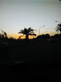 Silhouette of trees at sunset