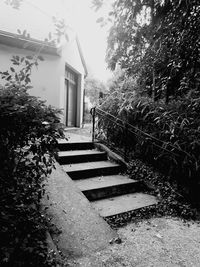 Staircase of building