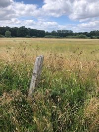 Scenic view of field against sky