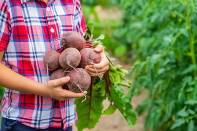 Midsection of man holding chestnuts