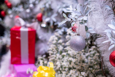 Close-up of christmas decoration hanging on tree