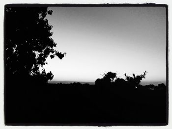 Silhouette trees against sky