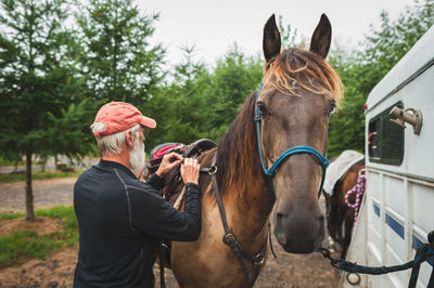 Close-up of horse riding horses