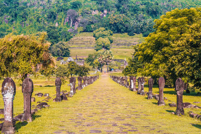 Panoramic view of cemetery against trees
