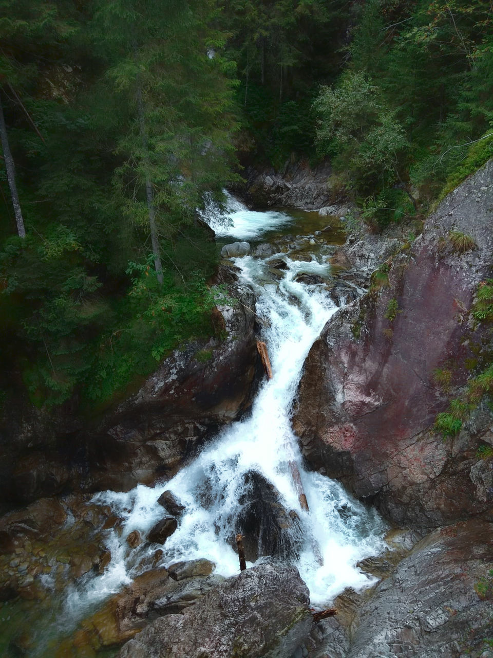 SCENIC VIEW OF STREAM FLOWING THROUGH ROCKS IN FOREST