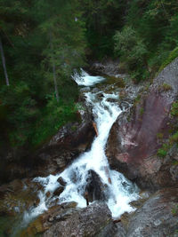 Scenic view of waterfall in forest