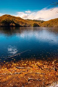 Scenic view of lake by trees against sky