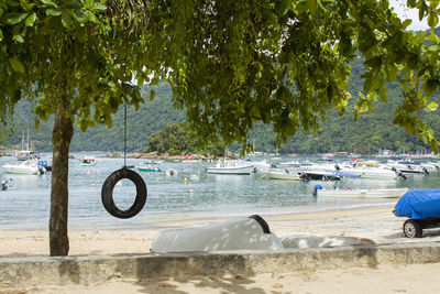 Scenic view of beach