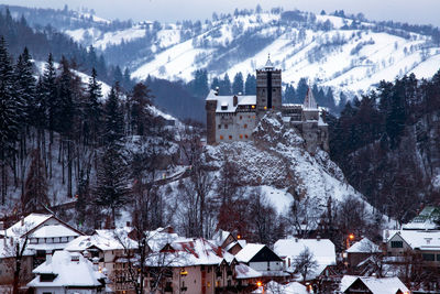 Snow covered trees and buildings against sky