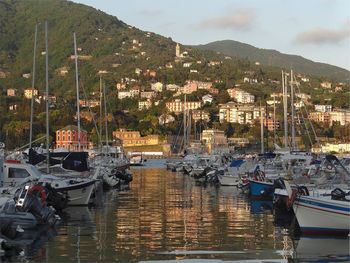 Boats moored at harbor against sky