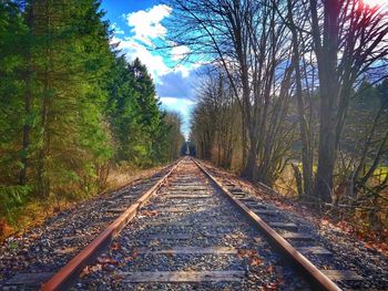 Railroad tracks amidst trees against sky