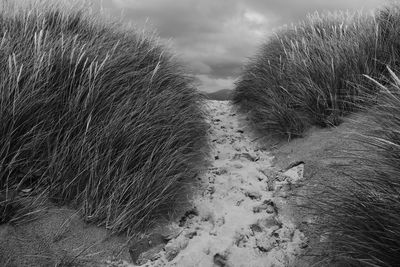 Scenic view of sand dune against sky