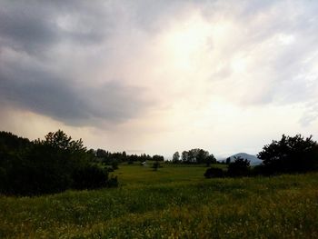 Scenic view of grassy field against cloudy sky