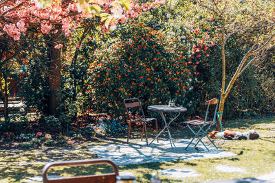 Empty chairs and table in park during autumn