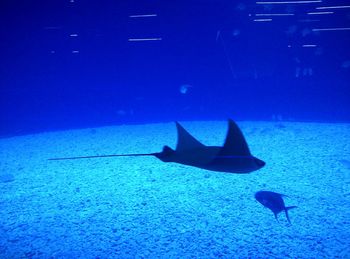 View of boats in sea