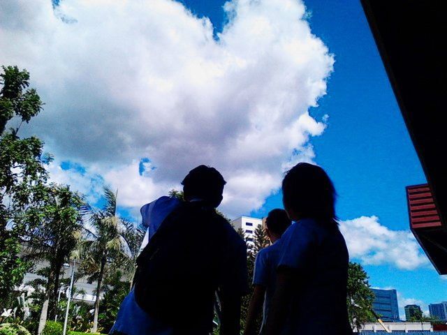 sky, lifestyles, leisure activity, rear view, togetherness, cloud - sky, men, waist up, person, cloud, low angle view, tree, bonding, blue, three quarter length, love, standing