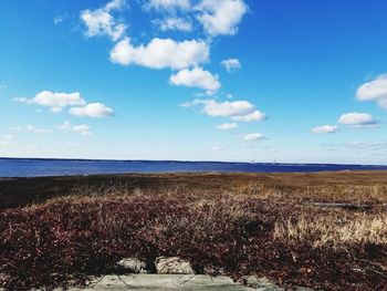 Scenic view of sea against blue sky