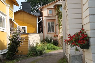 Plants in front of building