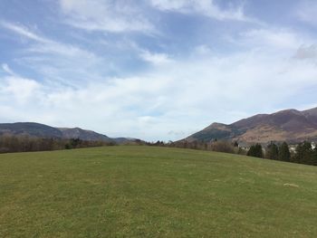 Scenic view of field against sky