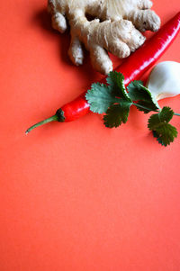 High angle view of vegetables on table