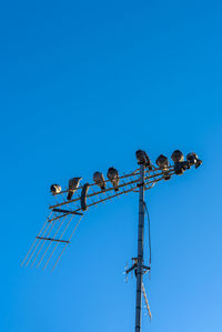 Low angle view of birds perching on antenna against clear blue sky
