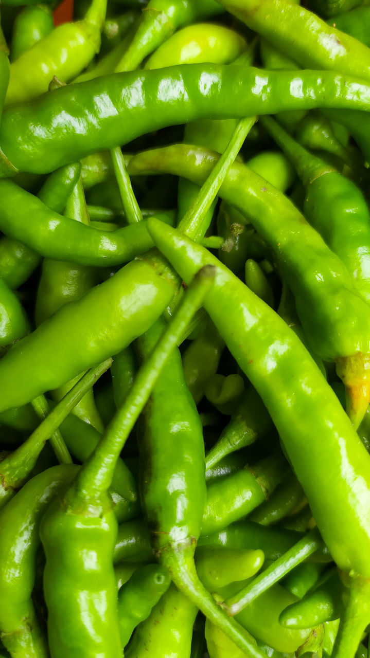 CLOSE-UP OF GREEN CHILI PEPPERS