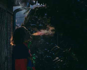 Rear view of woman looking at waterfall