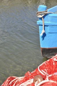 Close-up of snake on sea