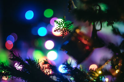 Close-up of illuminated christmas tree at night