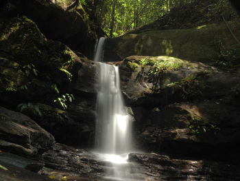 Waterfall in forest