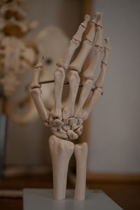 Close-up of human statue on table in museum