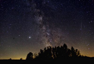 Low angle view of silhouette trees against sky at night