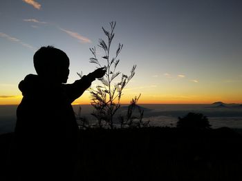 Silhouette boy standing by plants against sky during sunset