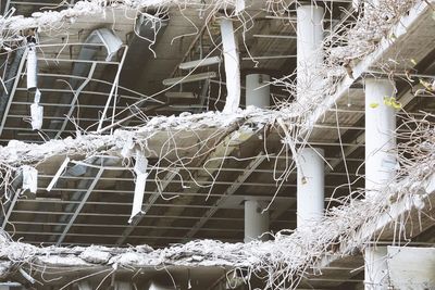 Close-up of spider web