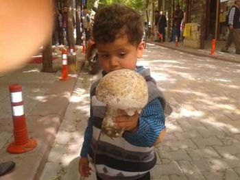 Portrait of cute boy holding ice cream