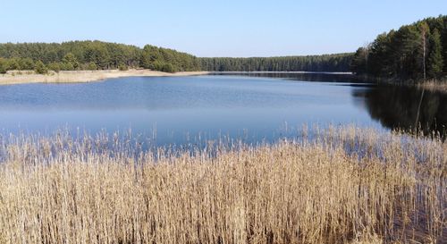 Scenic view of lake against clear sky