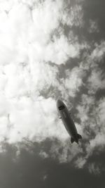 Low angle view of bird flying in sky