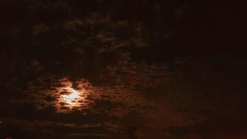 Low angle view of trees against sky at night