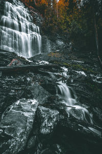 Scenic view of waterfall in forest