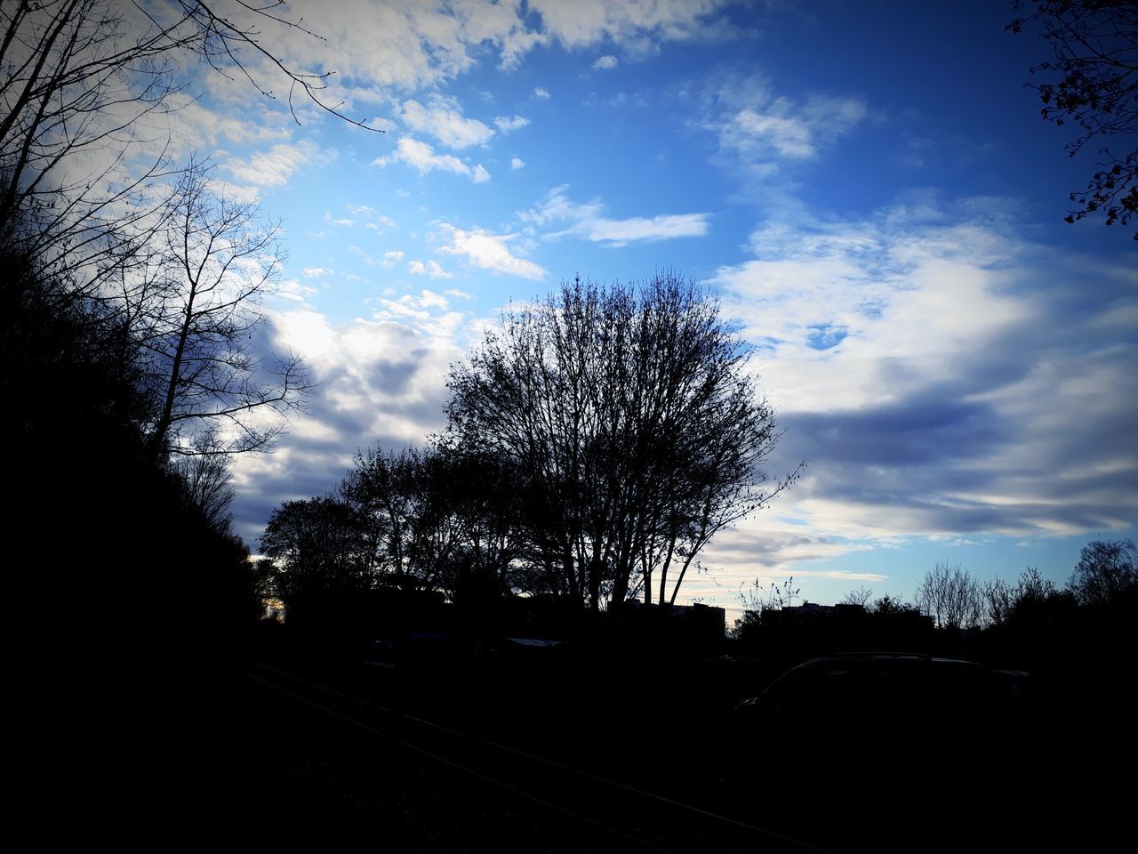 SILHOUETTE BARE TREES AGAINST SKY