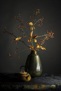 Close-up of potted plant on table